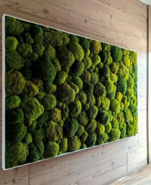 دیوار سبز (Green Wall): راهی نوین برای زیباسازی و بهبود محیط