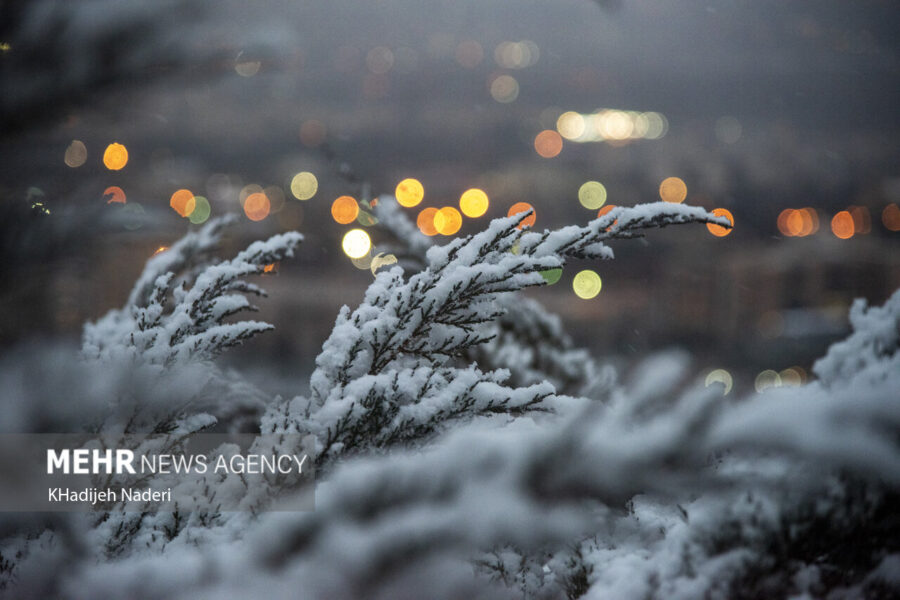 هشدار هواشناسی به ۲۵ استان؛ خسارت به محصولات کشاورزی با تشدید بارش‌ها