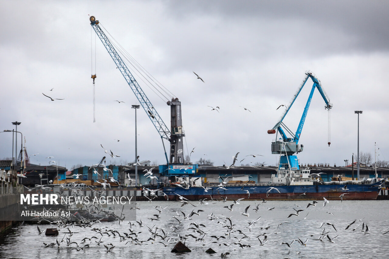 شاخص جدید بنادر کانتینری راه‌اندازی شد