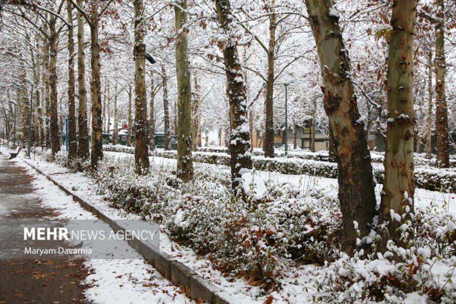 فعالیت آخرین موج بارشی در کشور؛ بارش‌های پراکنده و موقتی در ۵ استان