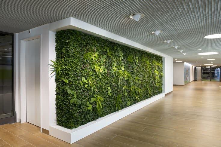 دیوار سبز دکتر جوزای